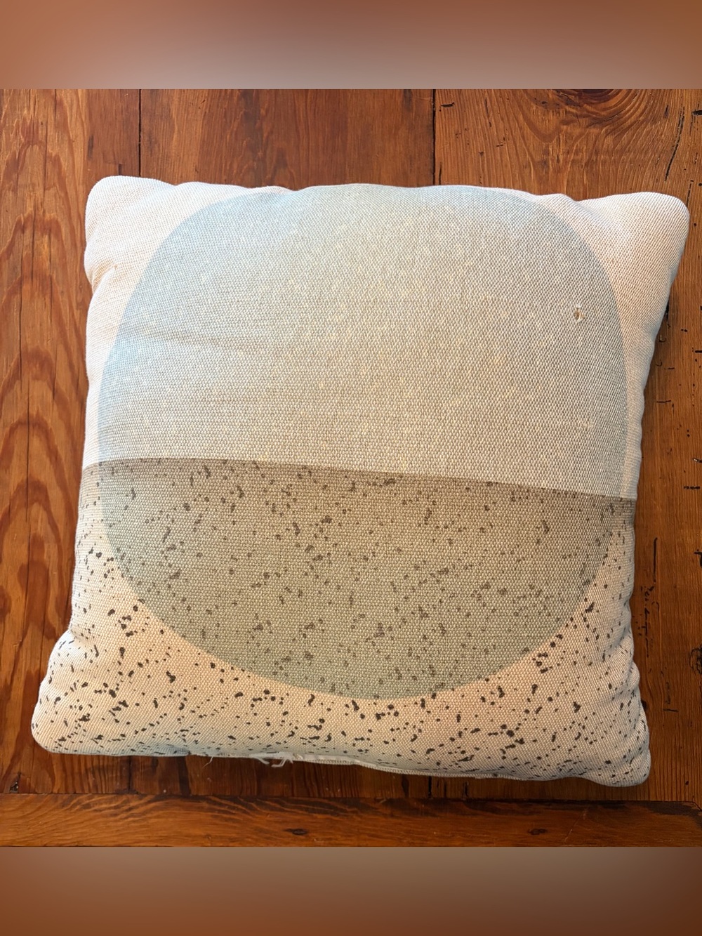 West Elm indoor/outdoor throw pillow